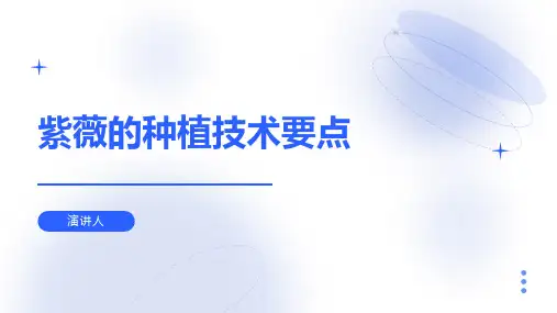 紫薇的种植技术要点