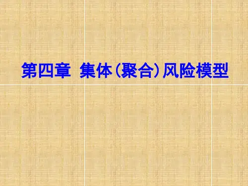 第4章 集体风险模型