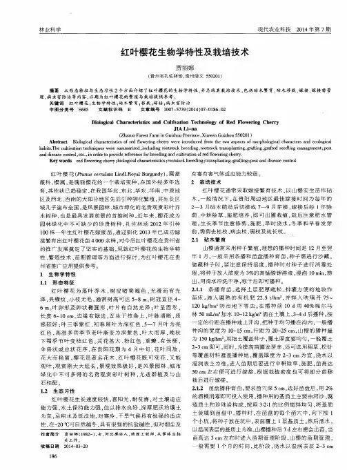 红叶樱花生物学特性及栽培技术