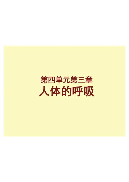 《人体的呼吸》