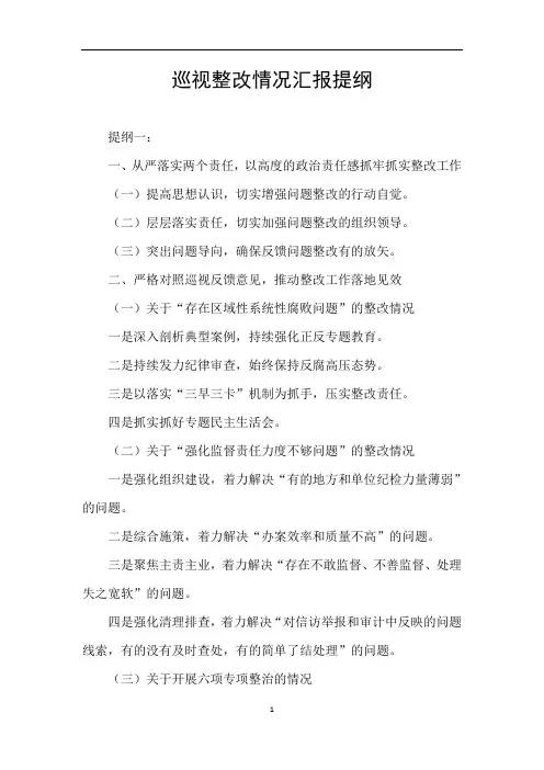 巡视整改情况汇报提纲