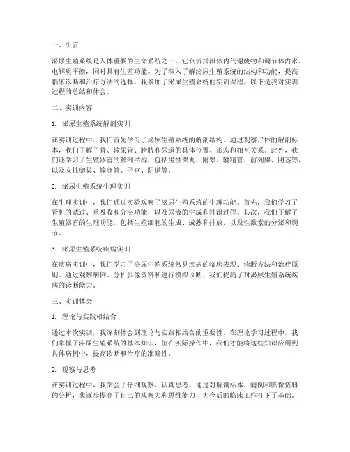 泌尿生殖系统的实训报告