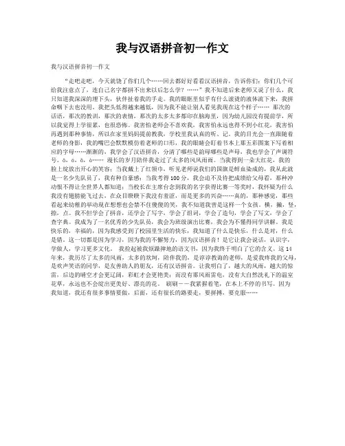我与汉语拼音初一作文