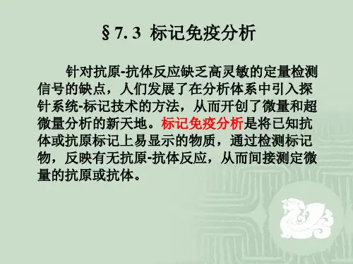 标记免疫分析