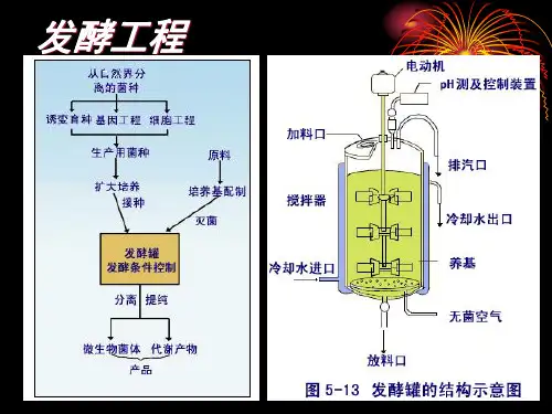 第五章发酵罐