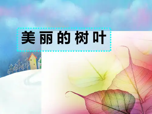 儿童线描画树叶PPT课件
