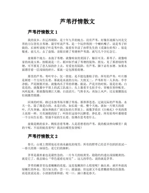 芦苇抒情散文