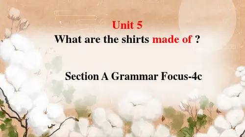 人教版英语九年级Unit 5 第3课时(A Grammar Focus-4c)