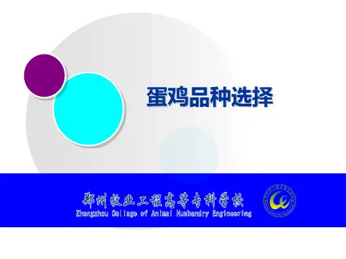 蛋鸡品种的选择(成教)