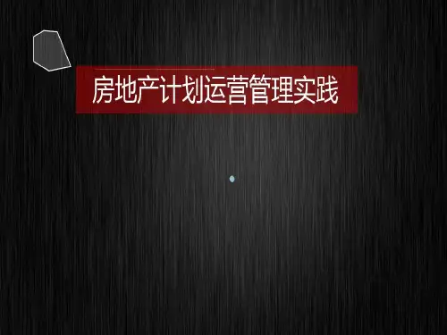 房地产计划运营管理实践共25页