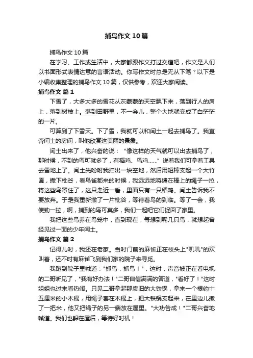 捕鸟作文10篇