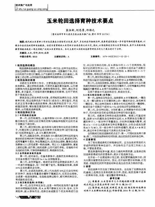 玉米轮回选择育种技术要点