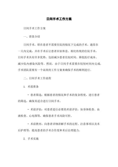 日间手术工作方案 2