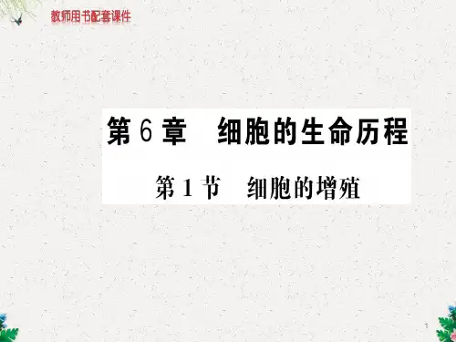 人教版高中生物必修一课件：第6章  第1节细胞的增殖