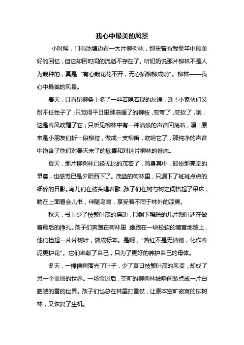 初一作文：我心中最美的风景作文600字