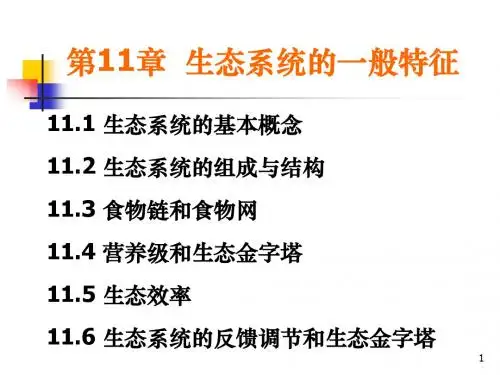 第11章 生态系统的一般特征