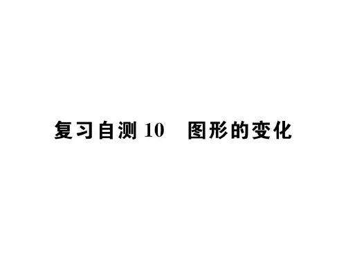 2018年秋九年级数学下册课件(人教版):复习自测10 图形的变化(共25张PPT)