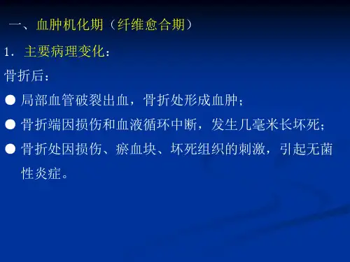 骨折概论骨折的愈合过程