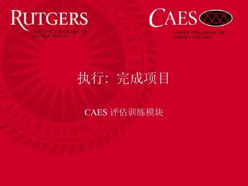 翻译 7. 执行