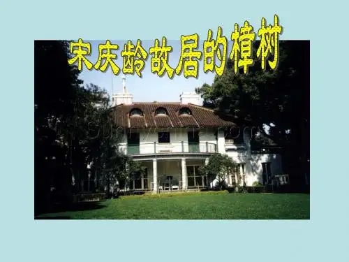 苏教版四年级下册语文《宋庆龄故居的樟树》