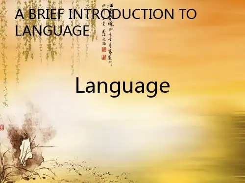《language语言》PPT课件
