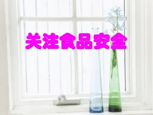 小学主题班队会课件：安全教育班会