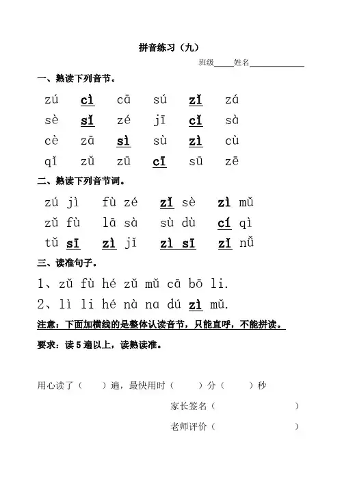 (九)拼音练习(zcs)
