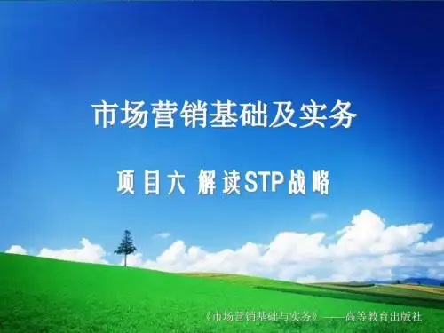 项目六 STP市场战略