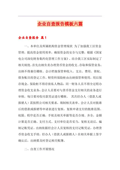 企业自查报告模板六篇