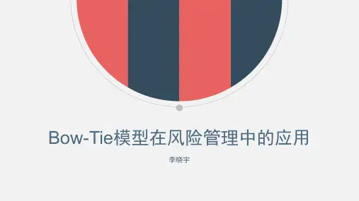 BOWTIE模型研究和介绍