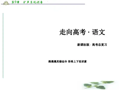(新课标)高考语文一轮总复习专题课件 专题11 文言文阅读 第2节