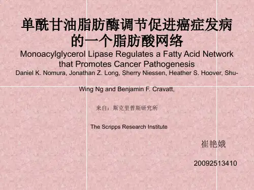 单酰甘油脂肪酶调节促进癌症发病的一