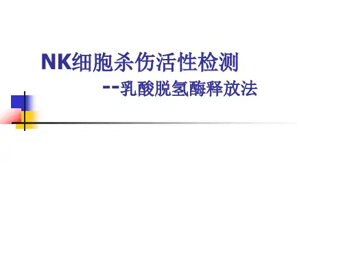 NK细胞杀伤活性检测(教学课件)