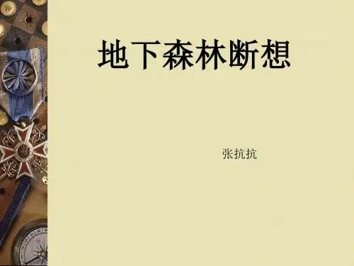 地下森林断想PPT28 人教版 (共19张PPT)