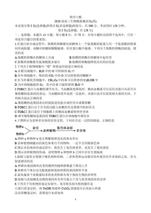 湖北省黄冈八模系列2020届高三模拟测试(四) 理科综合 Word版含答案