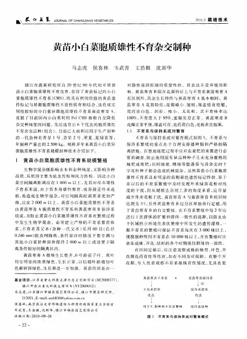黄苗小白菜胞质雄性不育杂交制种