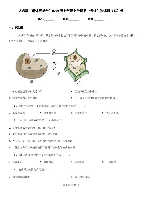 人教版(新课程标准)2020版七年级上学期期中考试生物试题(II)卷(测试)