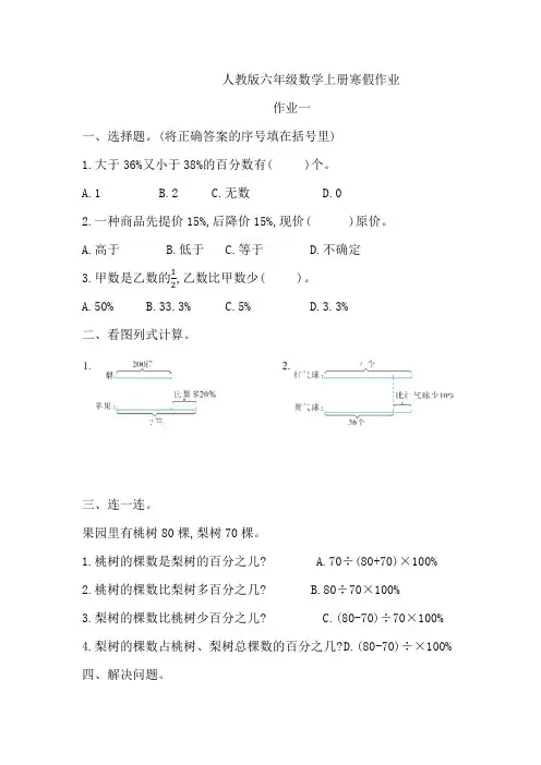 寒假作业(假期作业)六年级上册数学人教版 (3) 