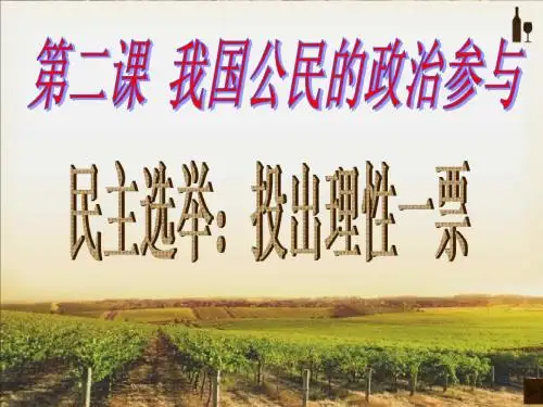 1.2.1  民主选举：投出理性一票
