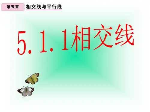 人教版七年级下册数学课件:5.1.1相交线(共29张PPT)