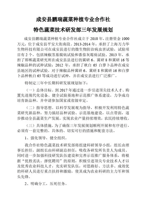 三年发展规划