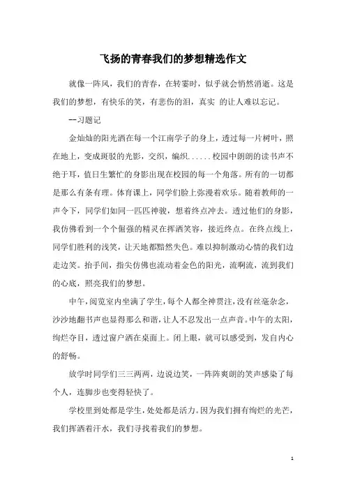 飞扬的青春我们的梦想精选作文