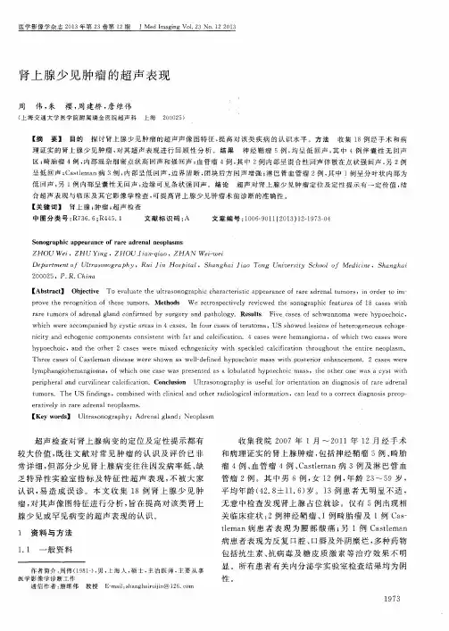 肾上腺少见肿瘤的超声表现