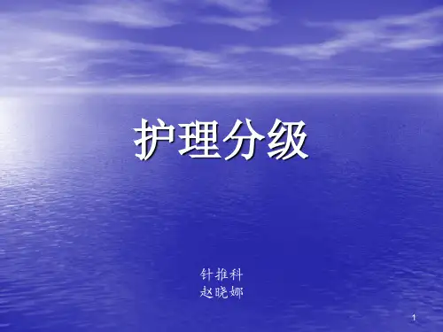 护理分级