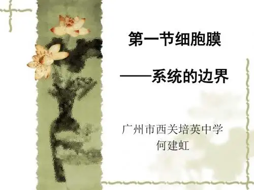 生物高中必修1第三章第一节.ppt