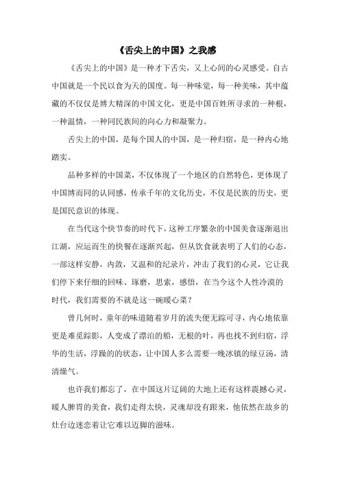 《舌尖上的中国》评论