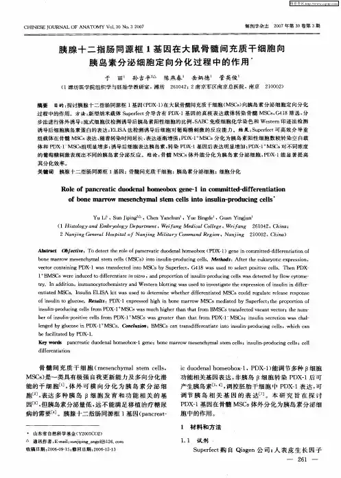 胰腺十二指肠同源框1基因在大鼠骨髓间充质干细胞向胰岛素分泌细胞定向分化过程中的作用