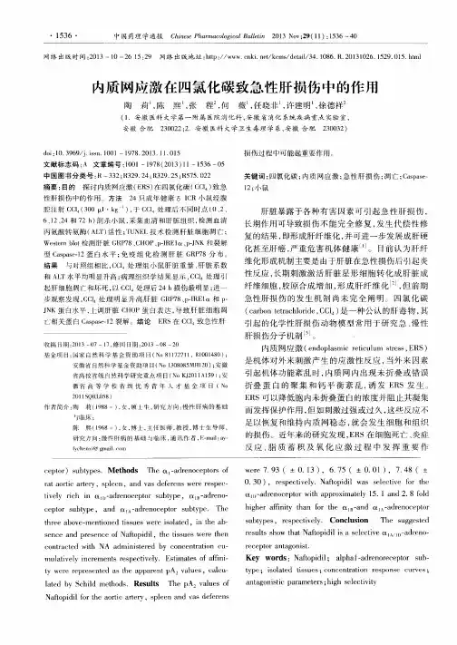 内质网应激在四氯化碳致急性肝损伤中的作用