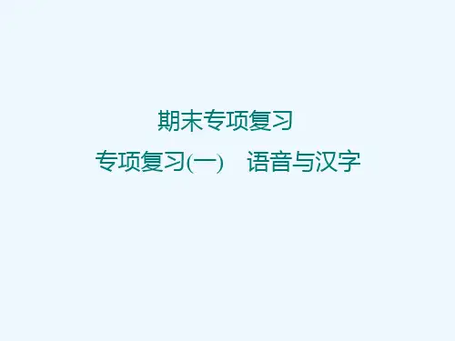 期末专项复习--专项复习(一)-语音与汉字..