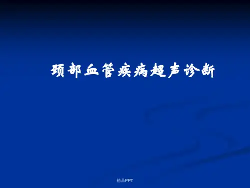 颈动脉疾病超声诊断
